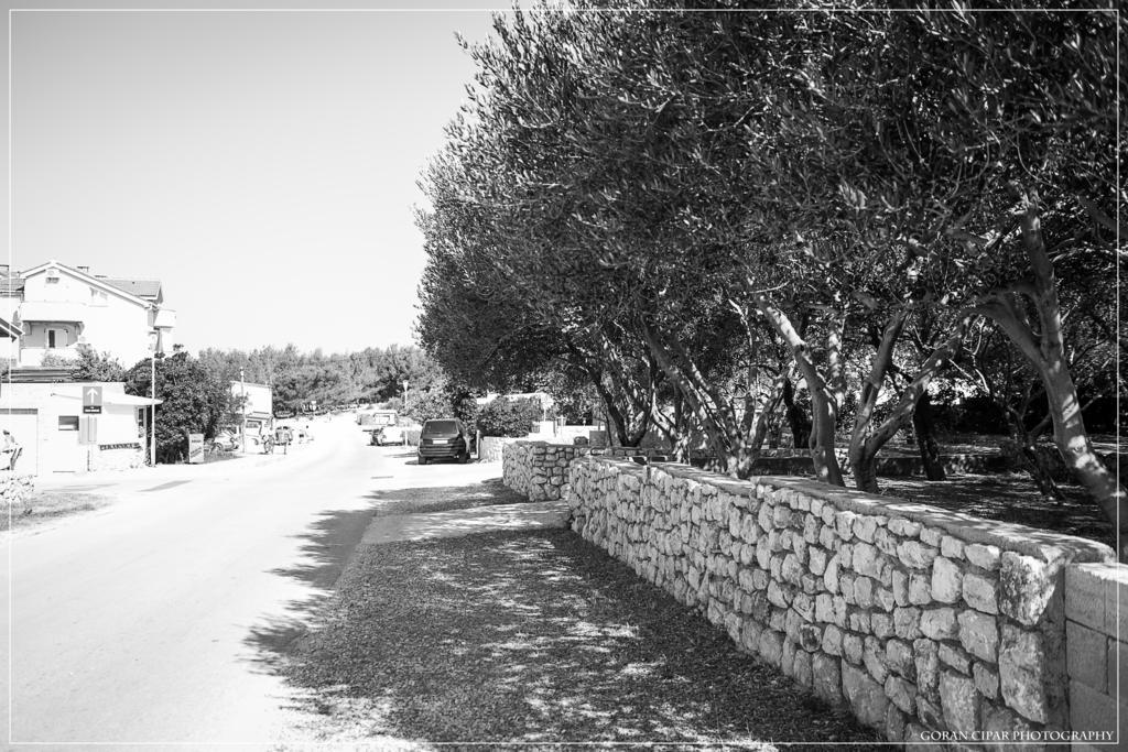 Apartment Adriana Povljana Bagian luar foto